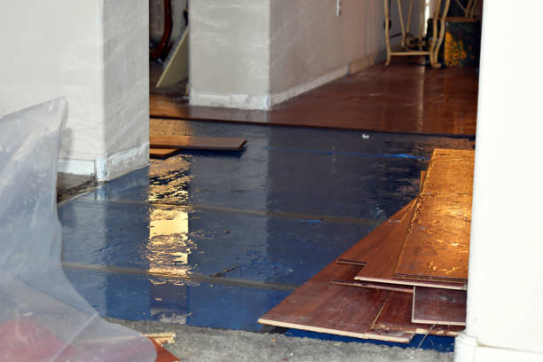 Professional Sewage Cleanup technician working in Lancing, TN